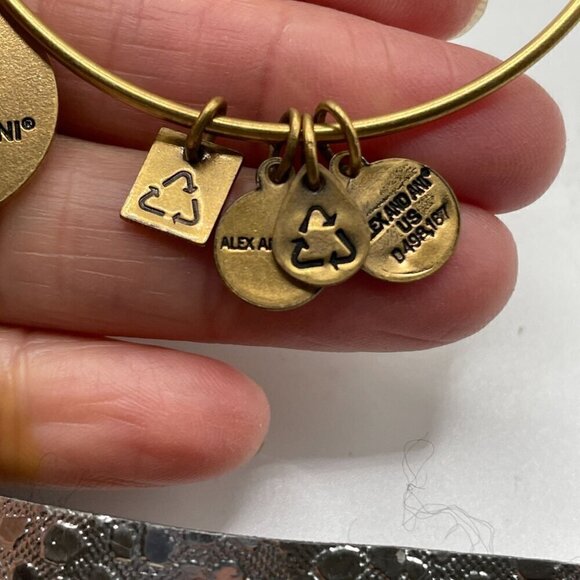 Alex and Ani Little Dipper Rafaelian Gold Tone Bangle Bracelet 2016 - Picture 2 of 4